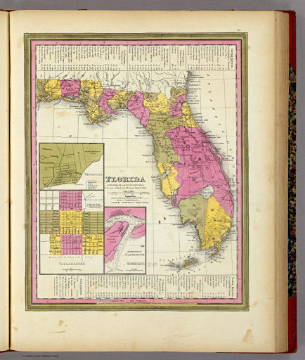 Mitchell's Universal Atlas (1846)
21. Florida