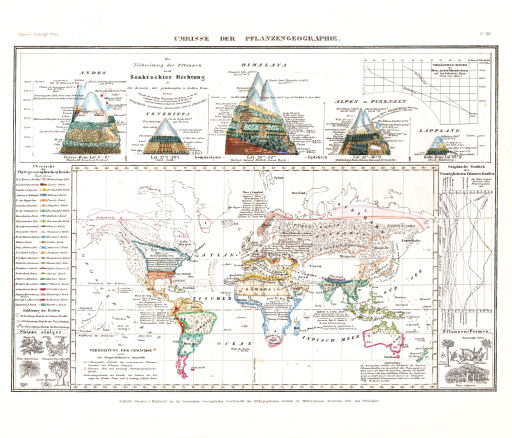 Meyer's Zeitungs-Atlas (1849-1852)
117. Umrisse der Pflanzengeographie (Nº&nbsp;96)