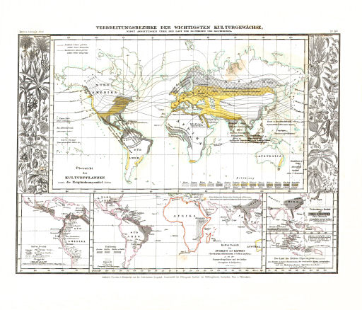 Meyer's Zeitungs-Atlas (1849-1852)
118. Verbreitungsbezirke der wichtigsten Kulturgewächse, nebst Andeutungen über den Lauf der Isotheren und Isochimenen (Nº&nbsp;92)