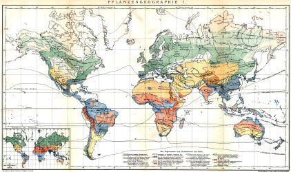 Brockhaus' Konversations-Lexikon, 1894-1897
13.61a. Pflanzengeographie I.