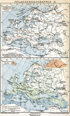 Brockhaus' Konversations-Lexikon, 1894-1897
13.61b. Pflanzengeographie II.