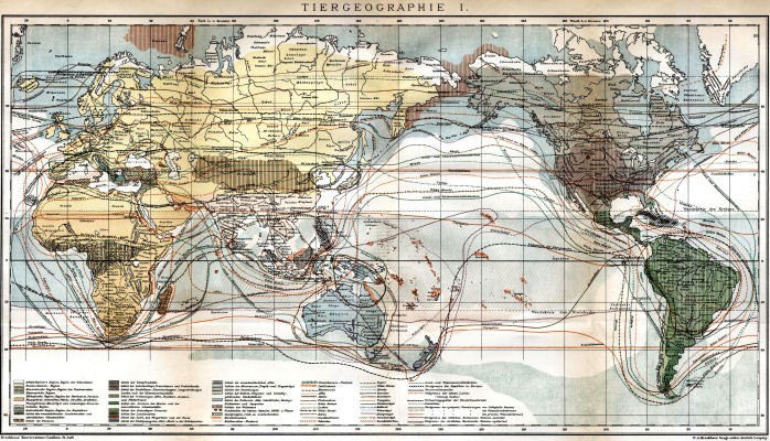 Brockhaus' Konversations-Lexikon, 1894-1897
15.838a. Tiergeographie I.