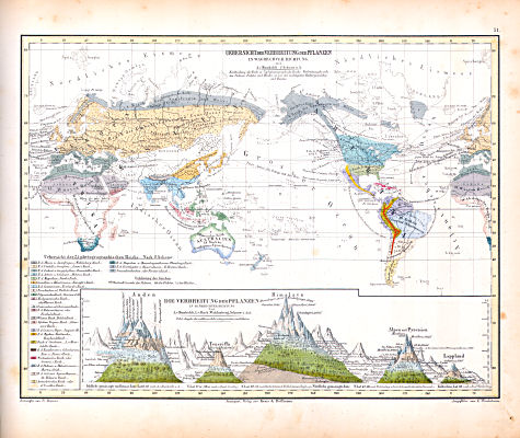 Atlas zu Humboldt's Kosmos (1854)
31. Uebersicht der Verbreitung der Pflanzen