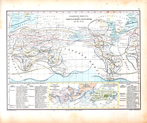 Atlas zu Humboldt's Kosmos (1854)
32. Geographische Verbreitung der vorzüglichsten Säugethiere auf der Erde