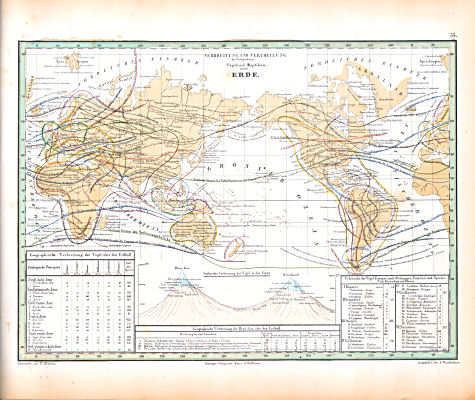 Atlas zu Humboldt's Kosmos (1854)
33. Verbreitung und Vertheilung der Vorzüglichsten Vögel und Reptilien auf der Erde