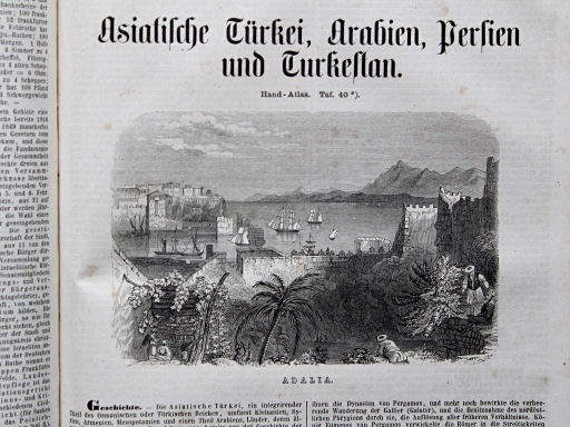 Bromme, Illustrirter Hand-Atlas, 1862
40.1. Adalia