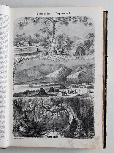 Reuschle, Illustrirter Volks-Atlas, 1875
21. Zonenbilder. Tropenzone 2