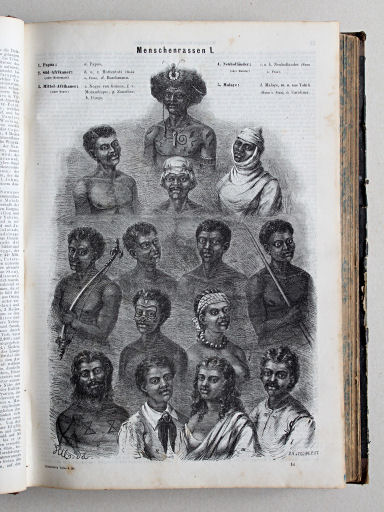 Reuschle, Illustrirter Volks-Atlas, 1875
61. Menschenrassen 1