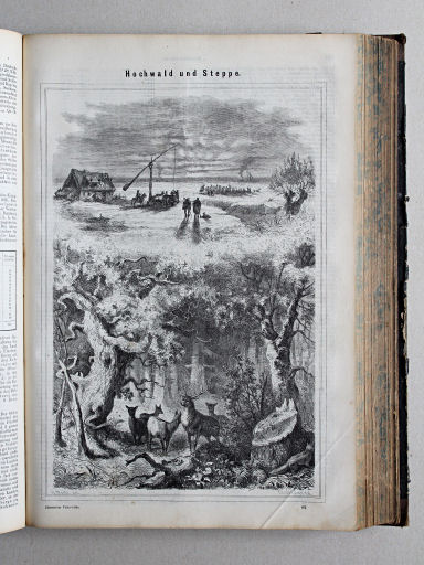 Reuschle, Illustrirter Volks-Atlas, 1875
333. Hochwald und Steppen