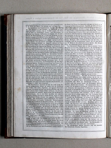 Scharff's Erläuterungen, ca. 1858
59.2 (4.2) America