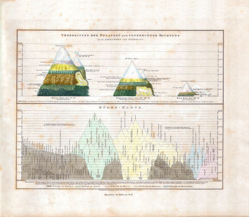 Glaser's Topisch-Physikalischer Atlas (1844)
10. Verbreitung der Pflanzen nach senkrechter Richtung nach Alexander von Humboldt. Höhen-Karte