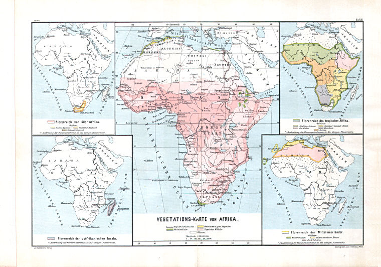 Hartleben's Atlas von Afrika (1886)
3. Vegetationskarte von Afrika
