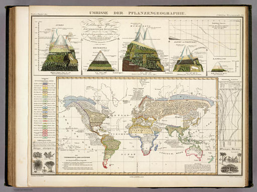 Berghaus' Physikalischer Atlas (1837-1848)
5.1. Umrisse der Pflanzengeographie (1838)