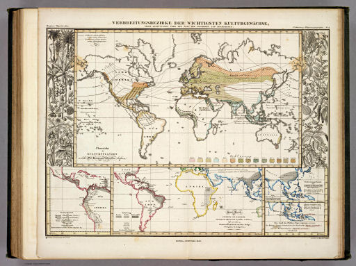 Berghaus' Physikalischer Atlas (1837-1848)
5.2. Verbreitungsbezirke der wichtigsten Kulturgewächse; nebst Andeütungen über den Lauf der Isotheren und Isochimenen (1839)