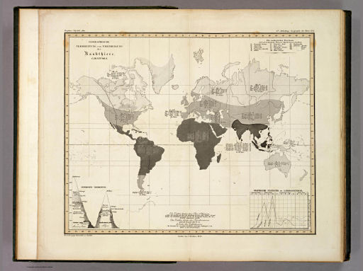 Berghaus' Physikalischer Atlas (1837-1848)
6.2. Geographische Verbreitung und Vertheilung der Raubthiere, Carnivora (1845)