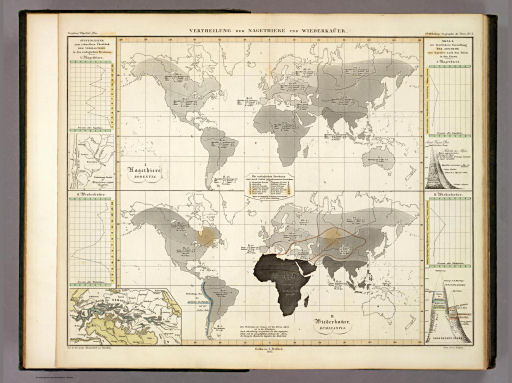 Berghaus' Physikalischer Atlas (1837-1848)
6.4. Vertheilung der Nagethiere und Wiederkaüer (1845)