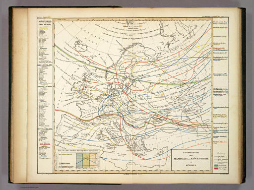 Berghaus' Physikalischer Atlas (1837-1848)
6.8. Verbreitung der Mammalia oder Saügethiere in Eüropa (1844)