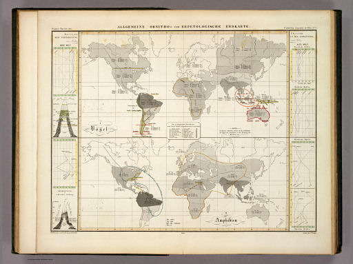 Berghaus' Physikalischer Atlas (1837-1848)
6.9. Allgemeine ornitho- und erpetologische Erdkarte (1845)