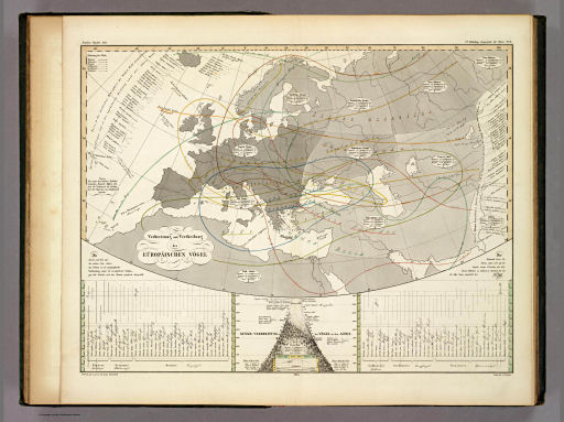 Berghaus' Physikalischer Atlas (1837-1848)
6.11. Verbreitung und Vertheilung der Eüropäischen Vögel (1845)
