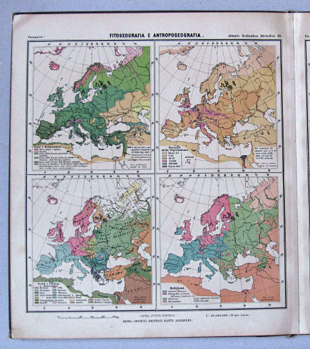 Pasanisi, Atlante Scolastico Metodico, 1900
26. Europa: Fitogeografia e antropogeografia