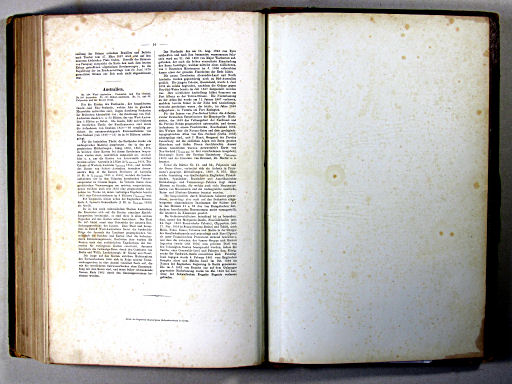 Stielers Hand-Atlas, 1874
Bericht, p. 10