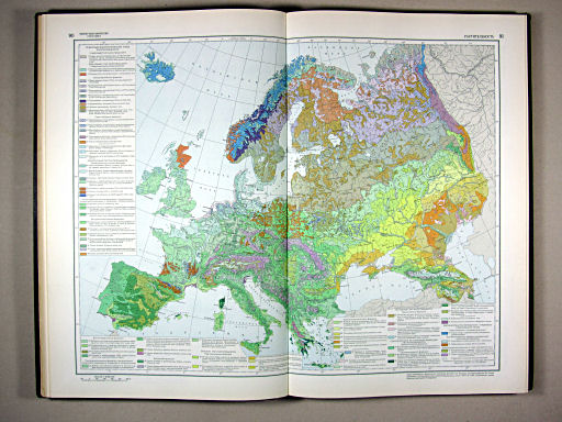 Физико-географический атлас мира (1964)
90-91. Растительность