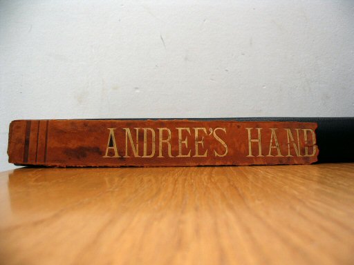 Andree's Handatlas 1881
Luxe band, deel van de rug
Luxury binding, partial spine