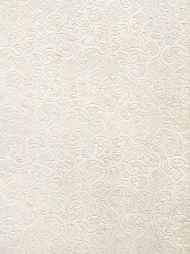 Andree's Handatlas 1881
Gepreegd schutblad, detail
Embossed endpapers, detail