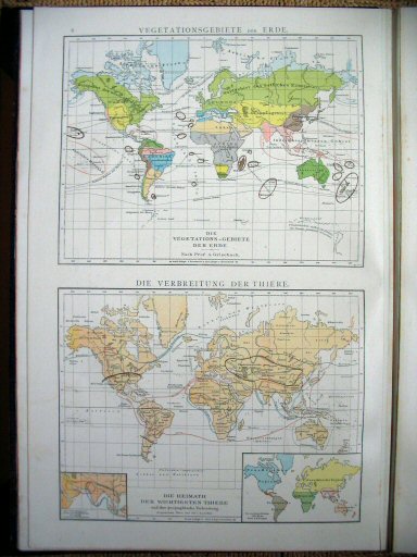 Andree's Handatlas 1881
8. Vegetationsgebiete der Erde. Die Verbreitung der Thiere.