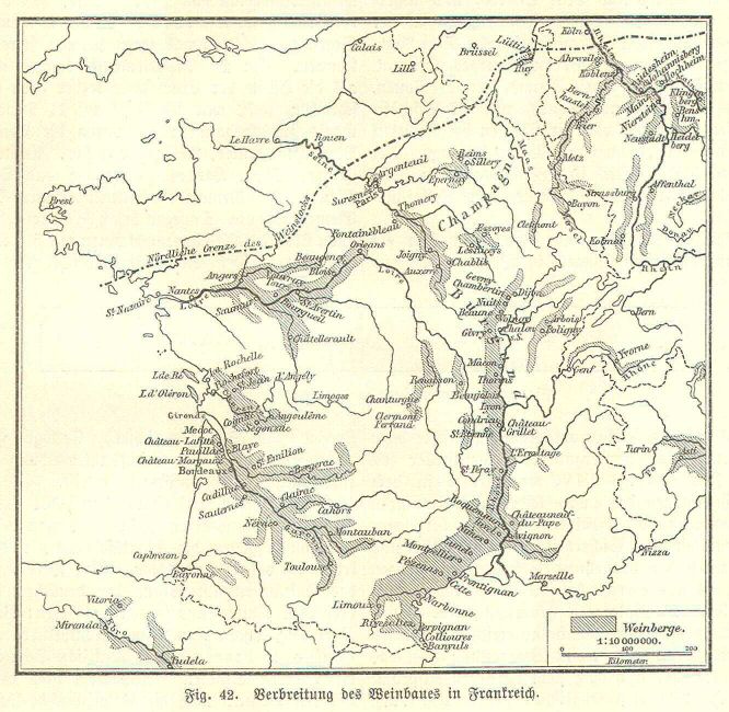 Handboek Andrees 1894
Wijnbouw in Frankrijk (p. 212)