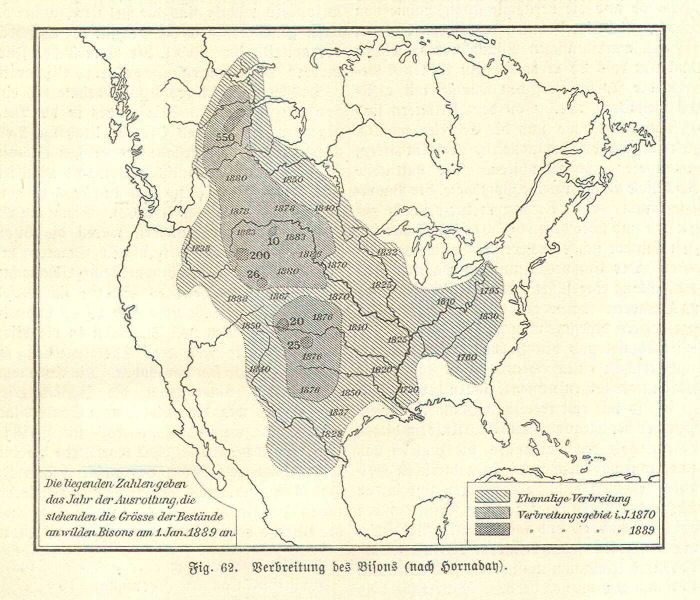 Handboek Andrees 1894
Bisons in Noord-Amerika (p. 348)