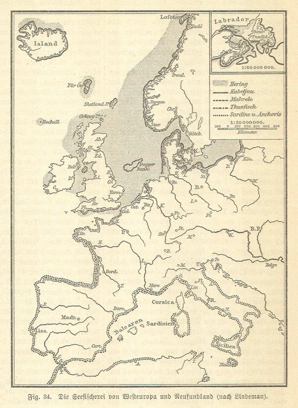 Handboek Andrees 1899
Zeevisserij in West-Europa (p. 121)
