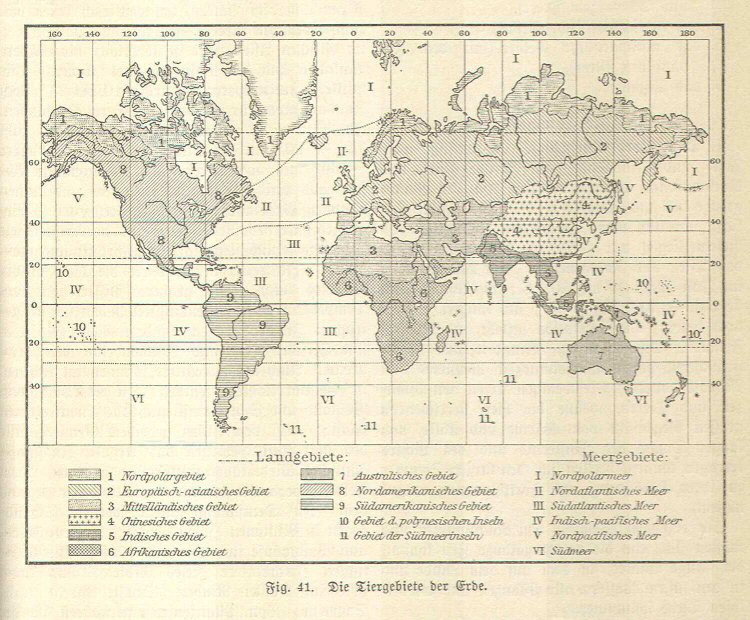 Handboek Andrees 1899
Wereld: zoölogische zones (p. 165)