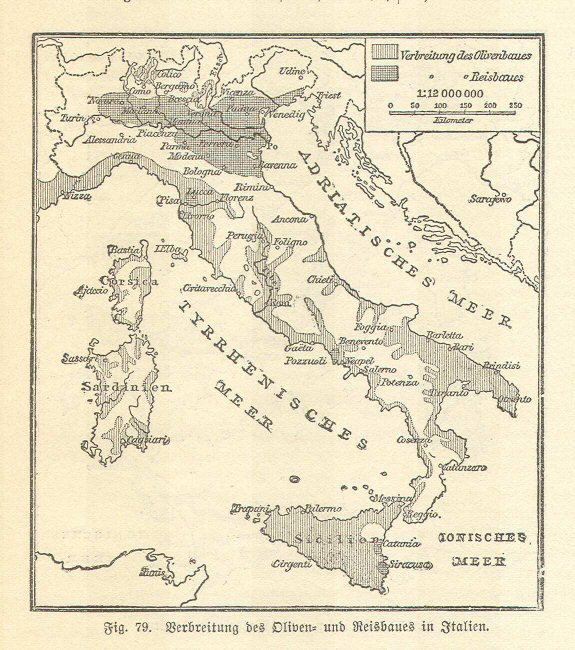 Handboek Andrees 1899
Verbouw olijven en rijst in Italië (p. 358)