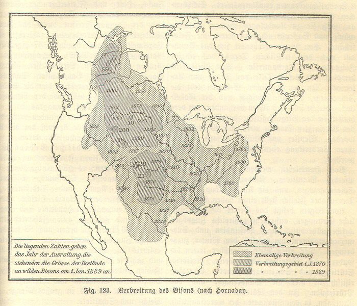 Handboek Andrees 1899
Noord-Amerika: verspreiding bisons (p. 695)