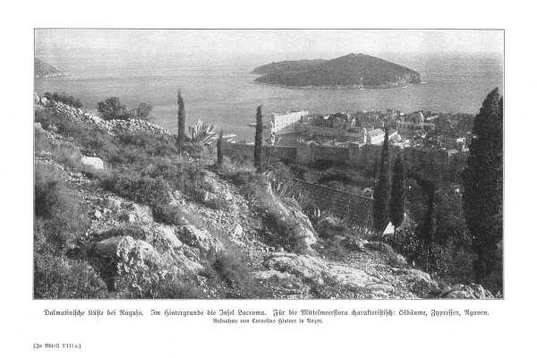 Handboek Andrees 1909-10
Dalmatische kust bij Ragusa (Dubrovnik), p. I-664