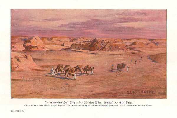 Handboek Andrees 1909-10
Lybische woestijn, p. II-216