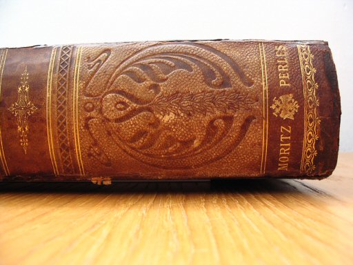 Andrees öst.-ung. Handatlas 1904
Detail rug