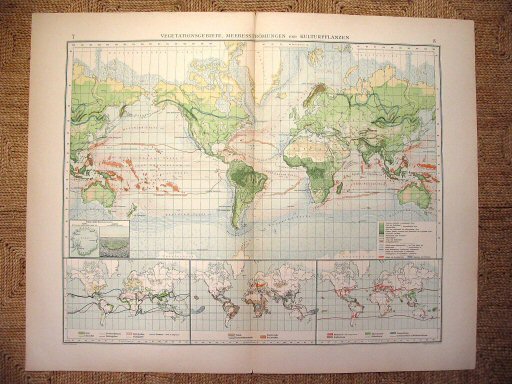 Supplement Andrees 1899
Vegetatie, zeestromingen (kaart 7.8)