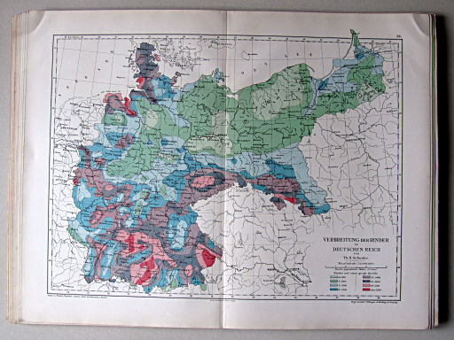 Andree-Peschel, Physikalisch-statistischer Atlas des Deutschen Reichs, 1878
22. Verbreitung der Rinder im Deutschen Reich