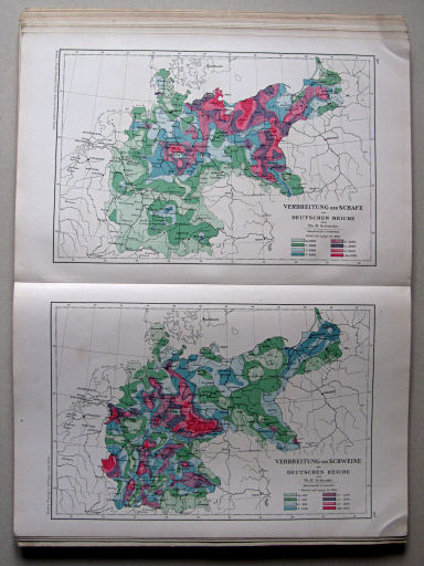 Andree-Peschel, Physikalisch-statistischer Atlas des Deutschen Reichs, 1878
23. Verbreitung der Schafe im Deutschen Reiche. Verbreitung der Schweine im Deutschen Reiche