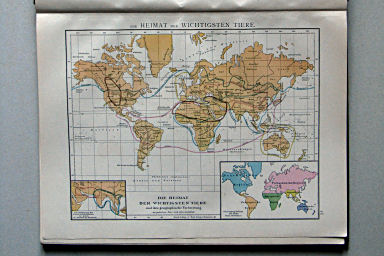 Andree-Putzger's Gymnasial- und Realschul-Atlas, 1890
16. Die Heimat der wichtigsten Tiere