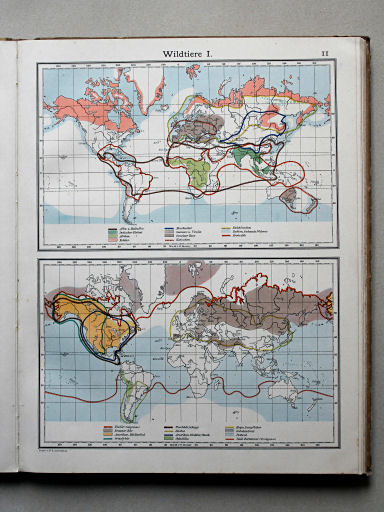 Scobel Handelsatlas, 1902
11. Wildtiere I