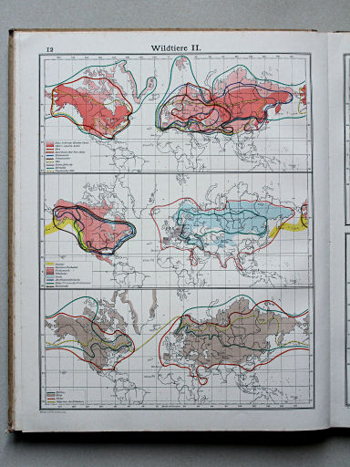 Scobel Handelsatlas, 1902
12. Wildtiere II