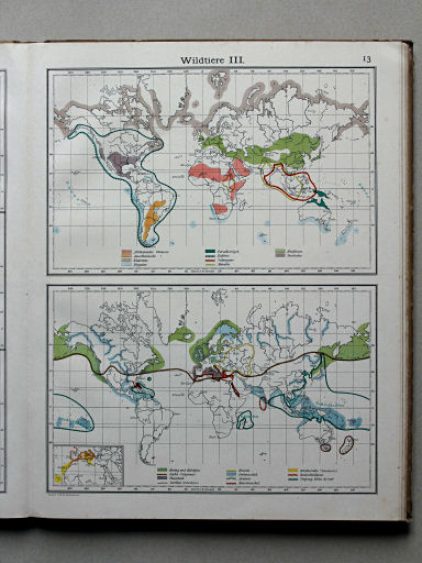 Scobel Handelsatlas, 1902
13. Wildtiere III