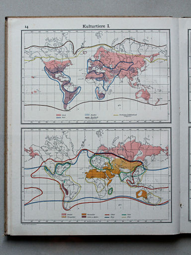 Scobel Handelsatlas, 1902
14. Kulturtiere I