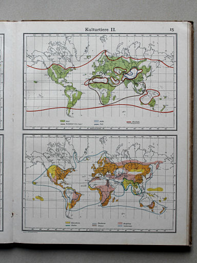 Scobel Handelsatlas, 1902
15. Kulturtiere II